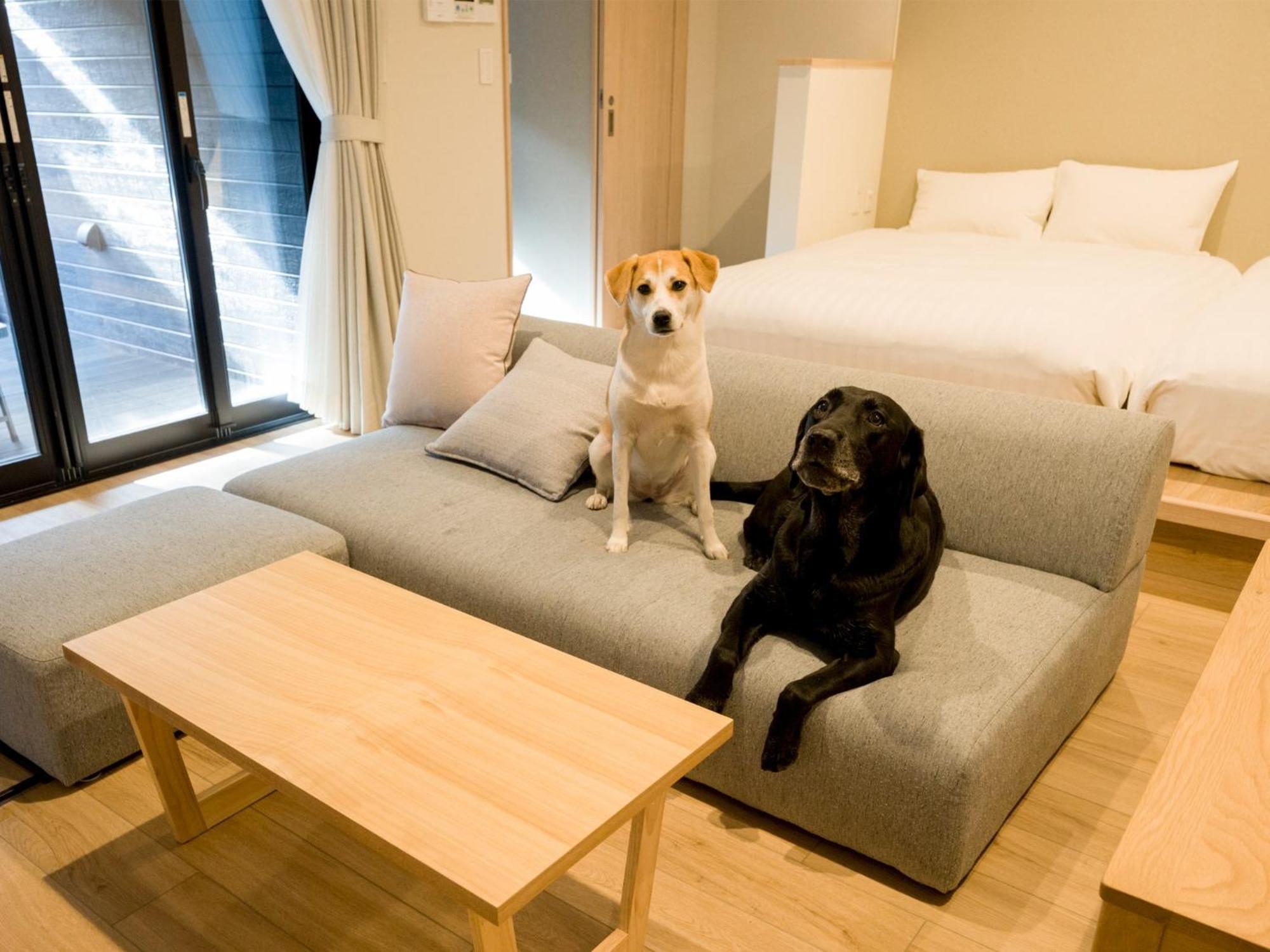 Rakuten Stay Nikko Hoden Capacity Of 8 Persons Exteriör bild